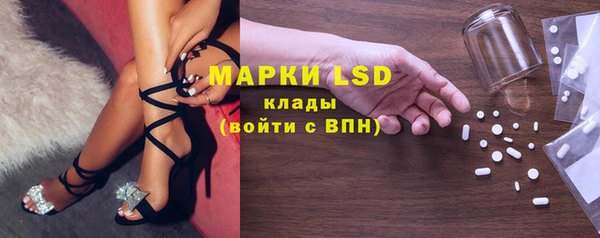 молекула духа Каменногорск