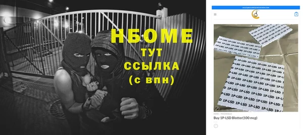 дмт Каменка