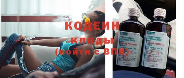 дмт Каменка