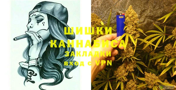 дмт Каменка