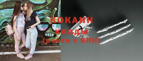 молекула духа Каменногорск