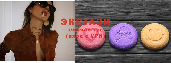 дмт Каменка