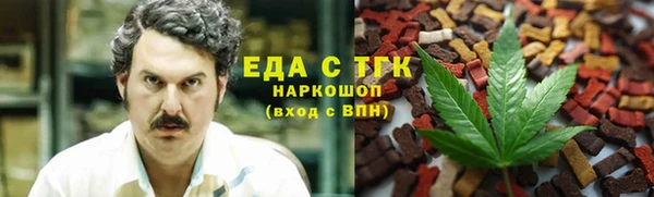 дмт Каменка