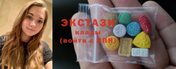 дмт Каменка