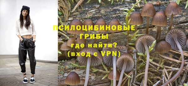 молекула духа Каменногорск