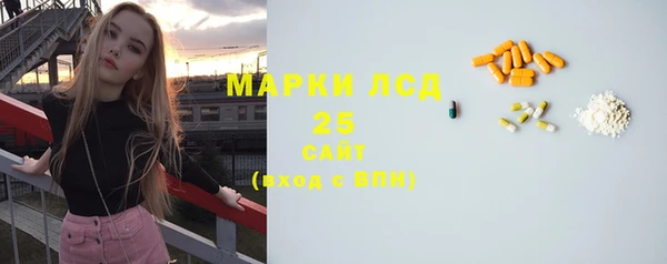 молекула духа Каменногорск