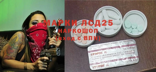 молекула духа Каменногорск