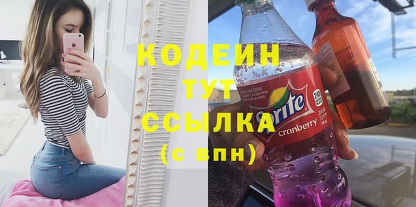 молекула духа Каменногорск