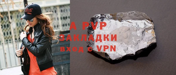 дмт Каменка