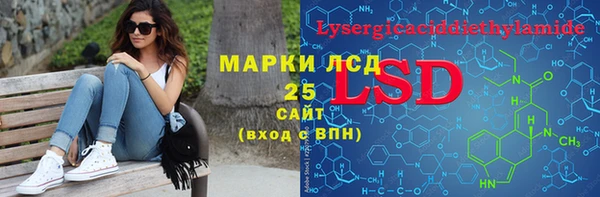 дмт Каменка