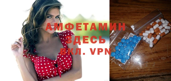 молекула духа Каменногорск